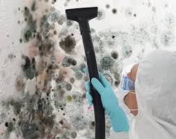 Best Forensic Mold Investigation  in Wells Branch, TX